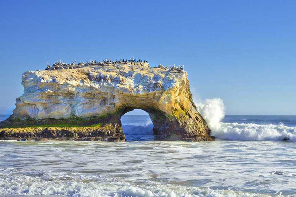 Santa Cruz