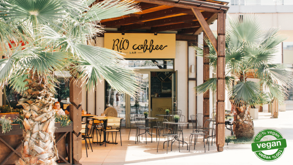 Vegan Friendly Restaurants
